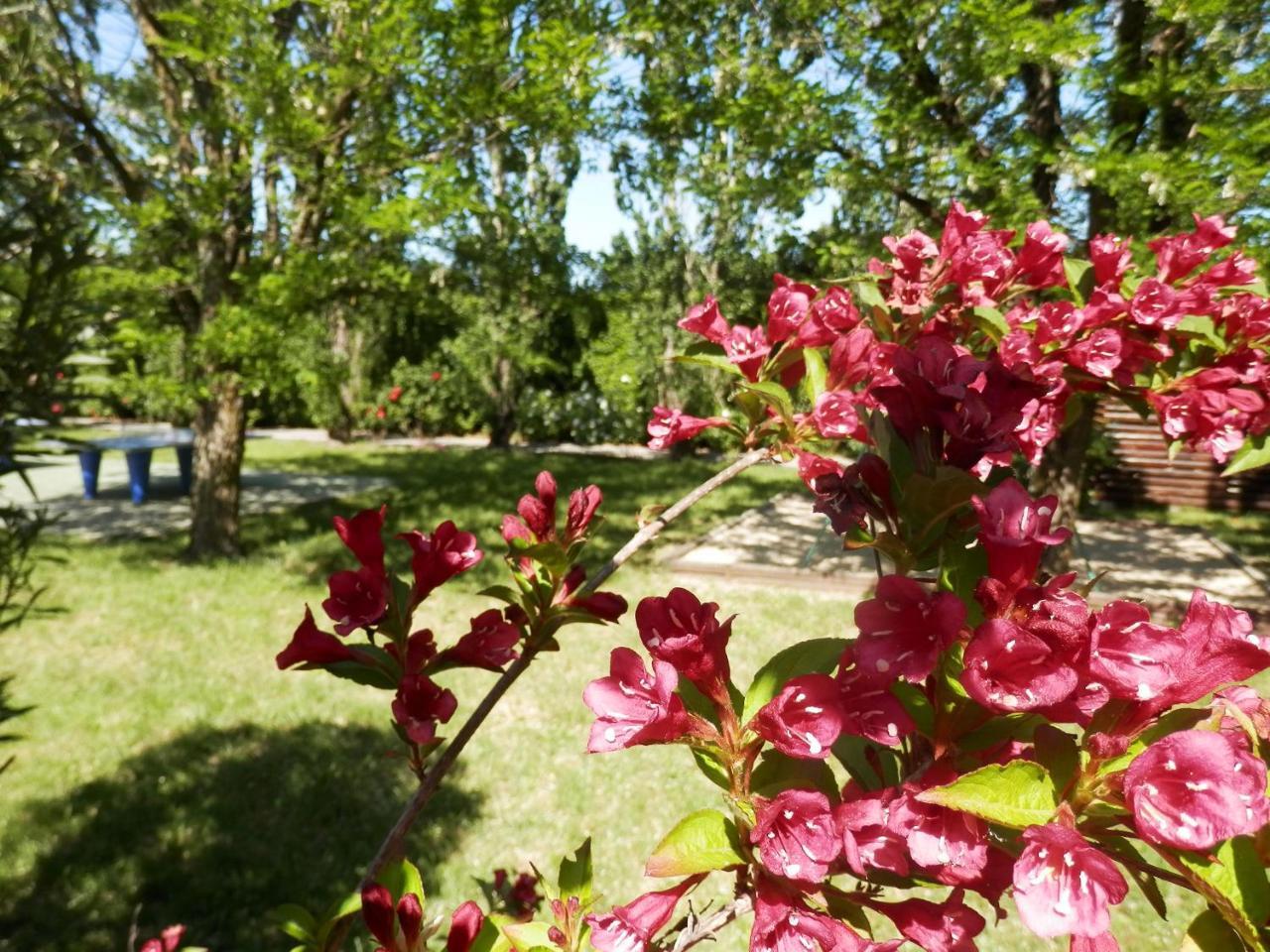 Les Cigalous Village de vacances Salavas